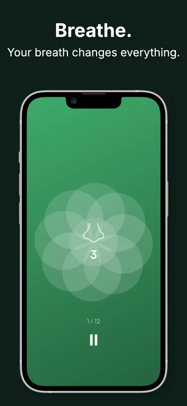 Breathe breathing exercise — animated breathing circle with cycle counter